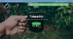 Desktop Screenshot of opromo.net
